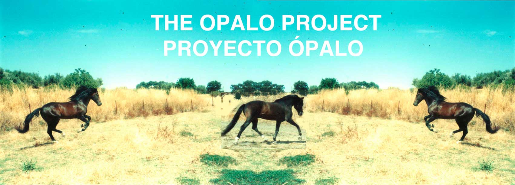 /proyecto_opalo.jpg